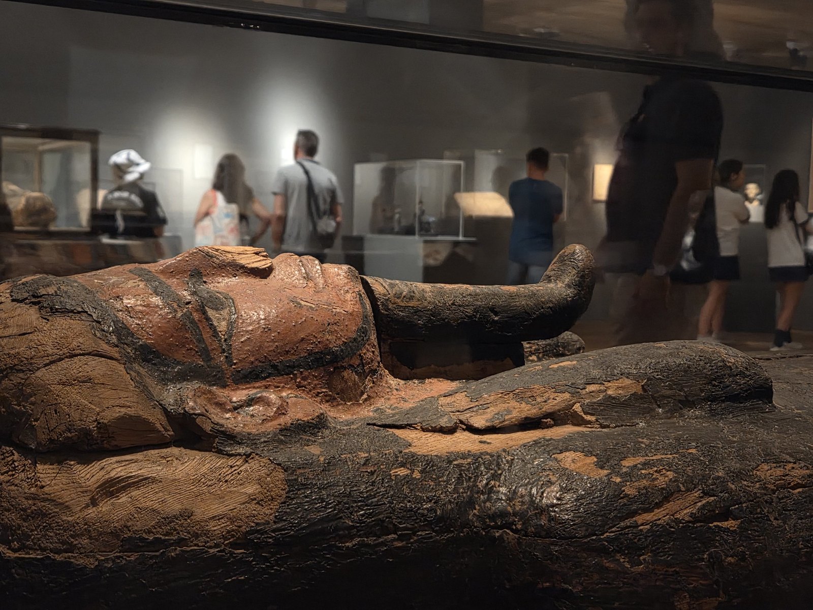 Vista de sala de la muestra «Ciencia y fantasía» en el MNBA