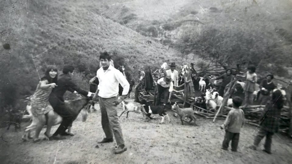 Escena rural del Noroeste argentino con personas y cabras entre cerros.
