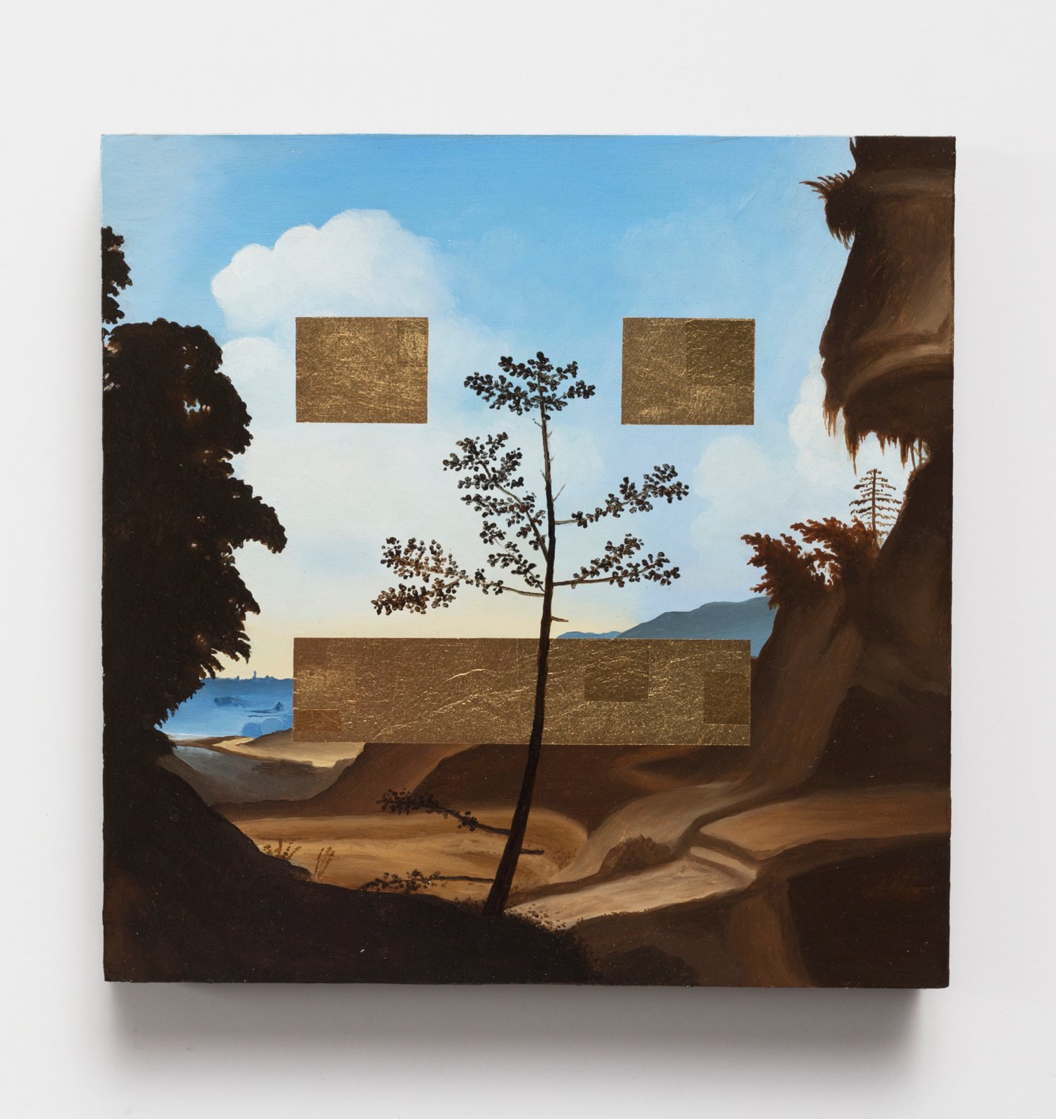 Max Gómez Canle, paisaje con paneles.