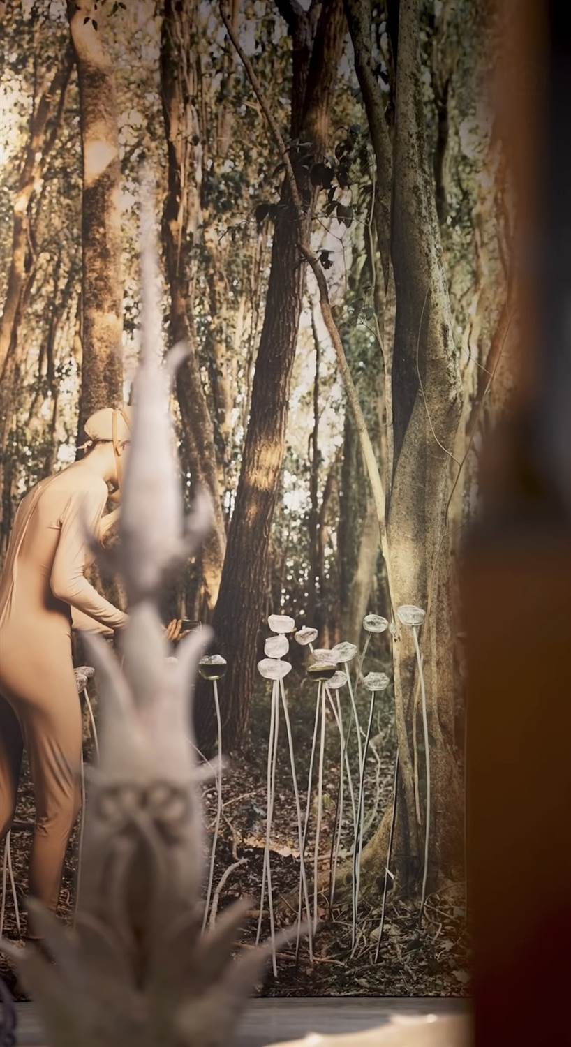 Vista de sala de Wunderkammer: una figura y flores de vidrio ante un bosque fotográfico.
