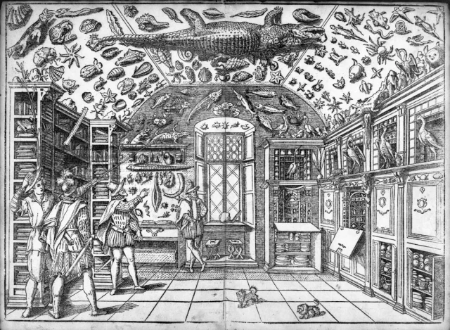 Grabado del gabinete de curiosidades de Ferrante Imperato, Nápoles, 1599.