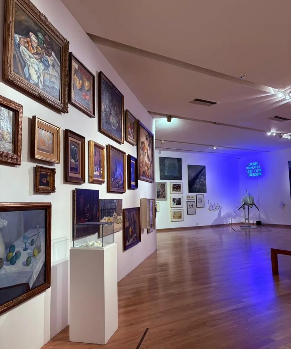 Sala de Código natal en el primer piso del Bellas Artes, con pinturas de la colección y la luz azul de un video.